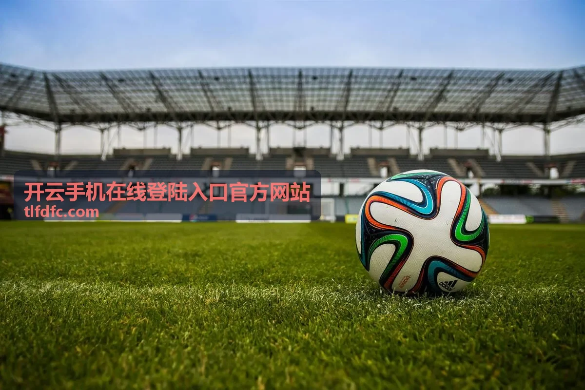开云手机在线登陆入口官方网站 都市剧封面 城中烟火